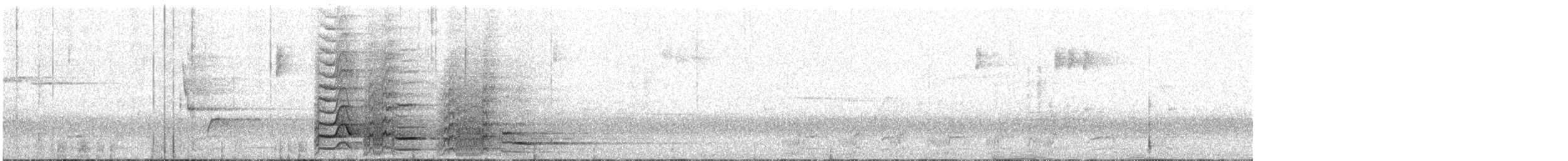 flétňák tasmánský - ML647790585