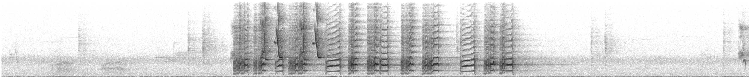 flétňák tasmánský - ML647790586