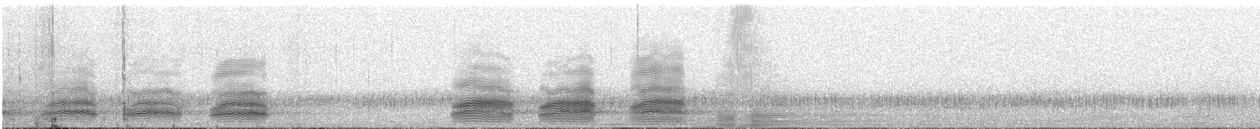 krkavec pralesní - ML647790598