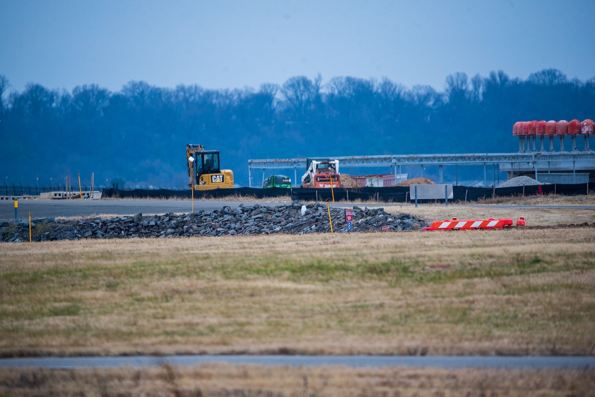 Snowy Owl - ML647790755