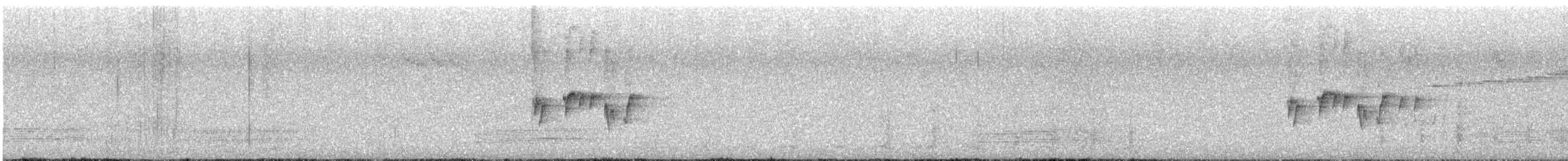 lejsčík růžovobřichý - ML647791010