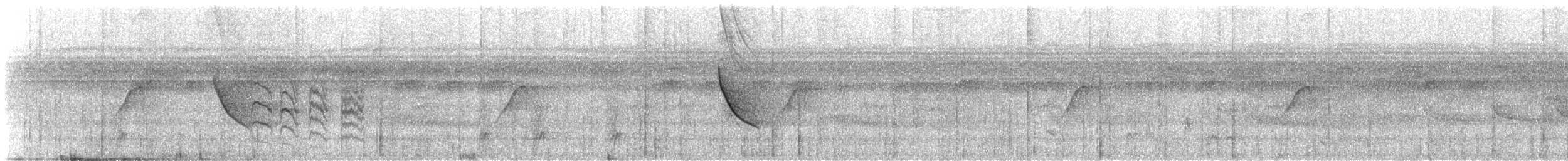 Long-winged Antwren - ML647791065