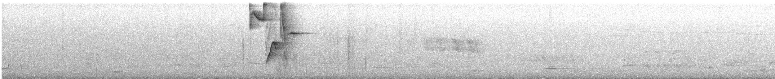 hihi hvízdavý - ML647791194