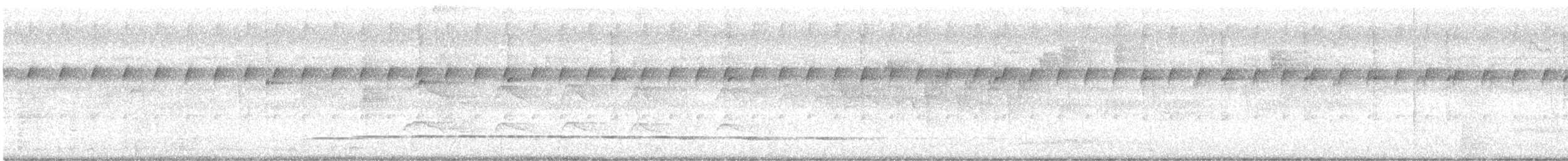 Streak-chested Antpitta - ML647791433