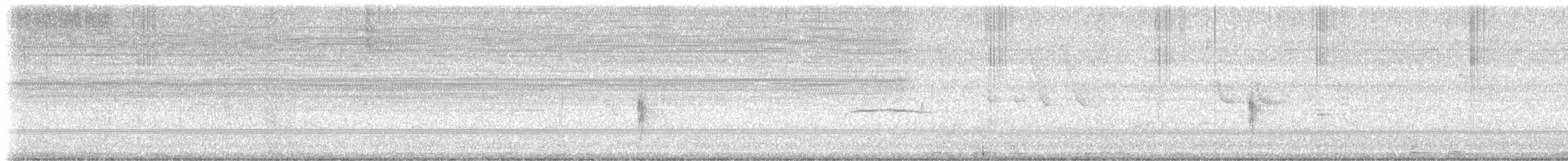 Southern Beardless-Tyrannulet - ML647791466