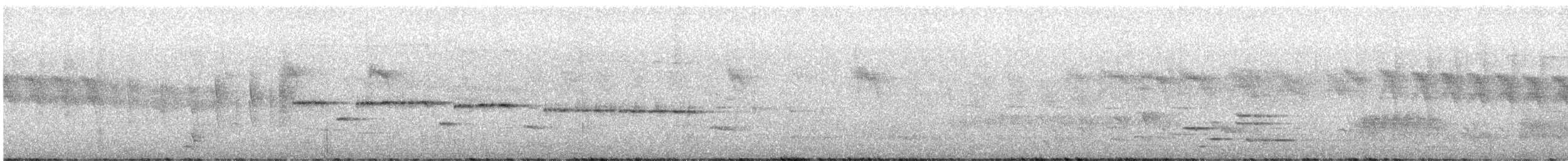 Gray Gerygone - ML647791513