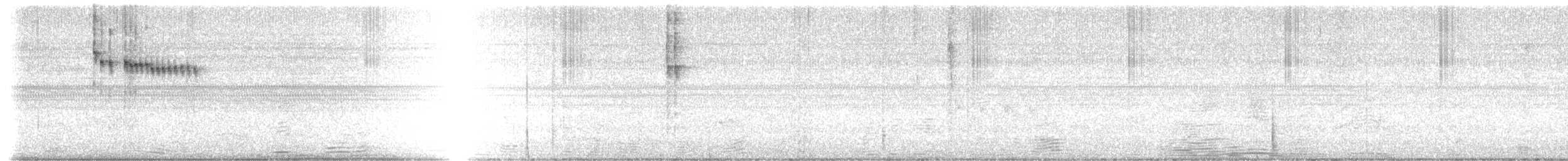 datlíček proužkobřichý - ML647791818