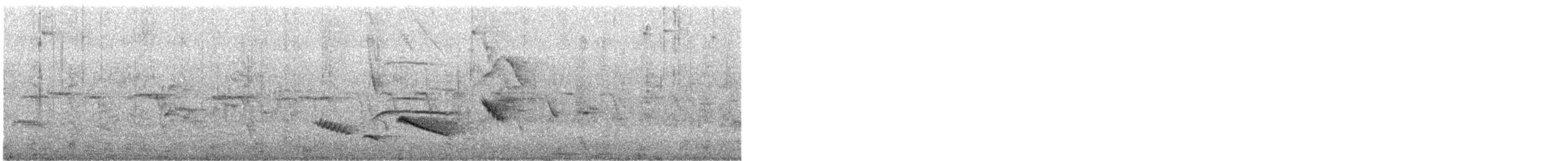 tanımsız Passeriformes sp. - ML647792006