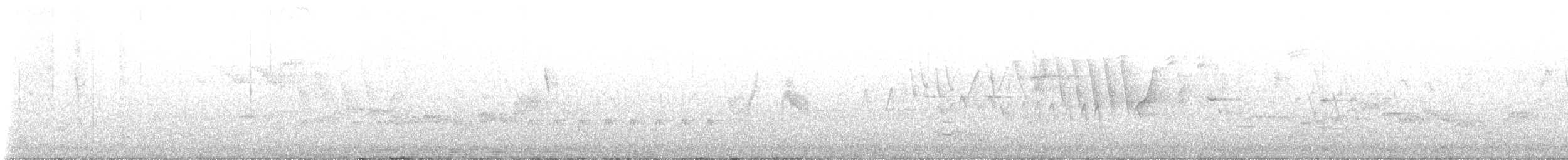 Willow Flycatcher - ML647792337