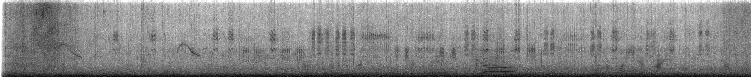 Sedge Warbler - ML647792538