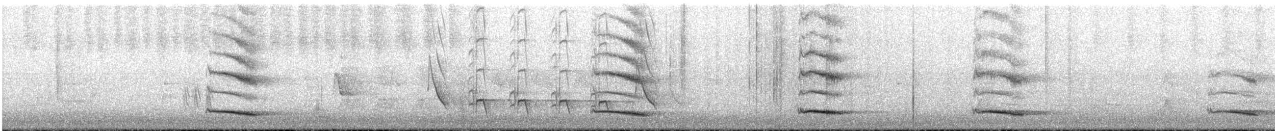 Australian Magpie - ML647792580