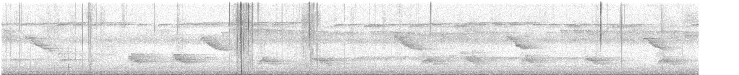 Scarlet-rumped Cacique - ML647792581