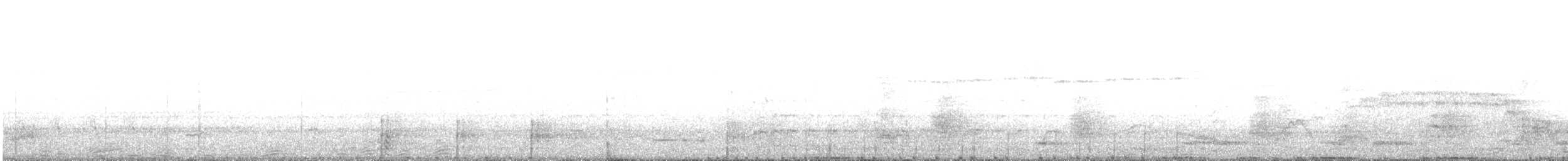 Tasmanian Nativehen - ML647792583