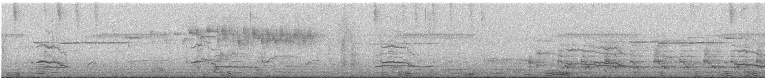 Tasmanian Nativehen - ML647792584