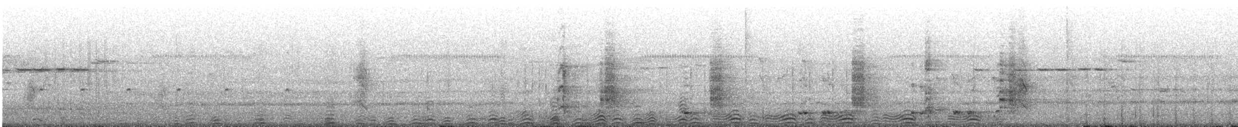 Little Pied Cormorant - ML647792612