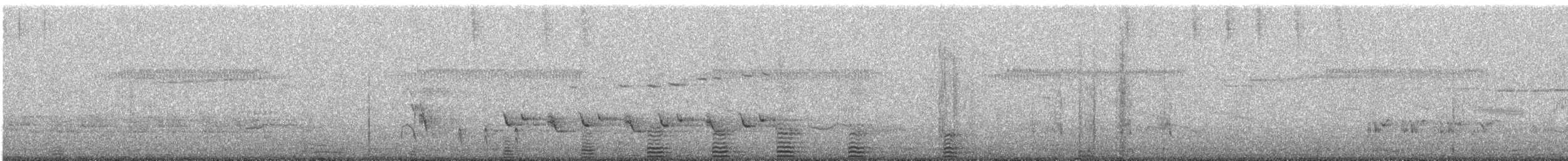 Little Pied Cormorant - ML647792614