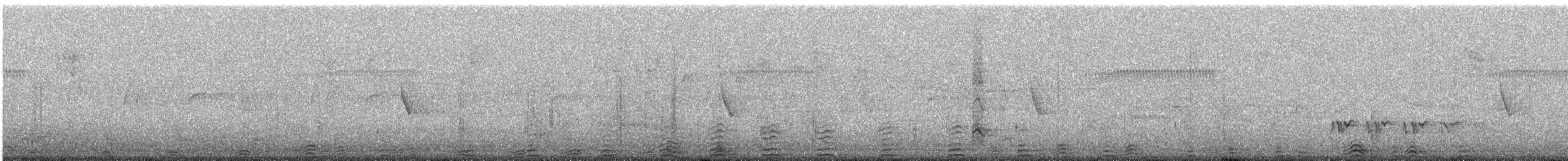 Little Pied Cormorant - ML647792623