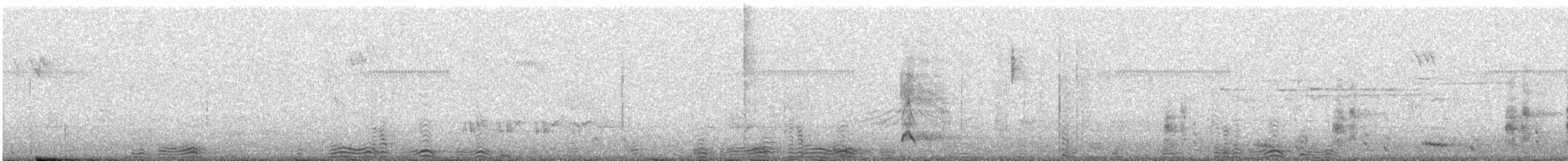 Little Pied Cormorant - ML647792624