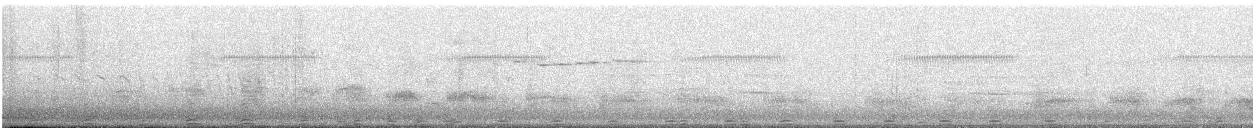 Little Pied Cormorant - ML647792625