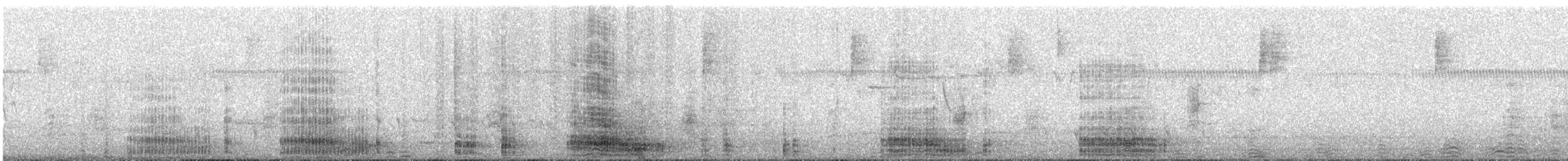 White-faced Heron - ML647792628