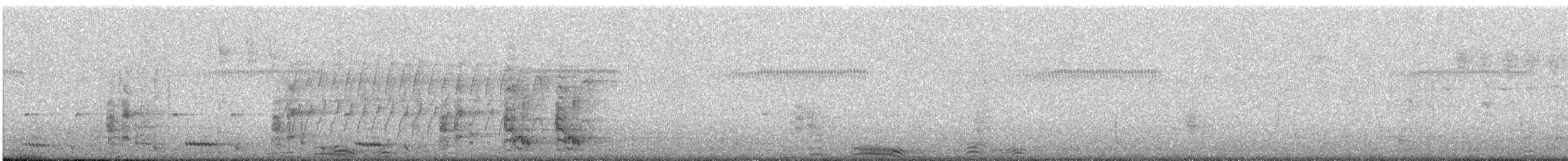 Little Wattlebird - ML647792644