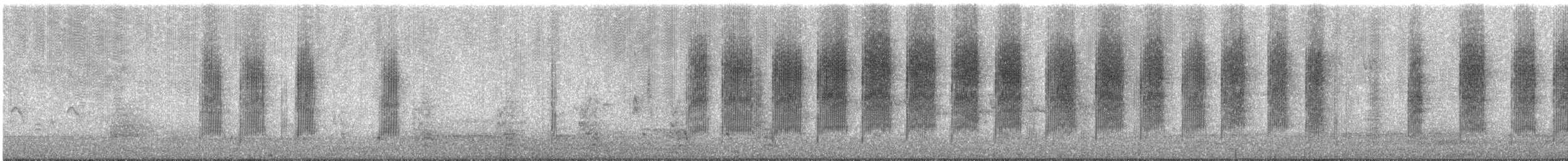 Brown Thornbill - ML647792654