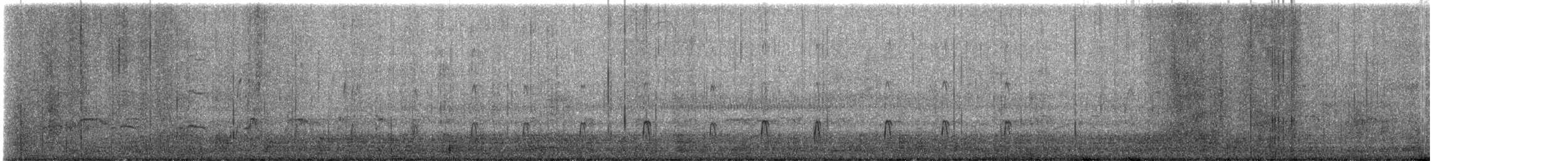 Eurasian Oystercatcher - ML647792790