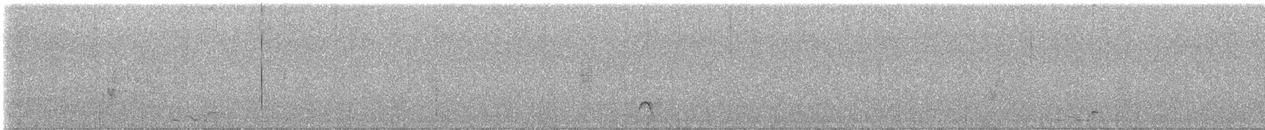 Black-bellied Wren - ML647792949