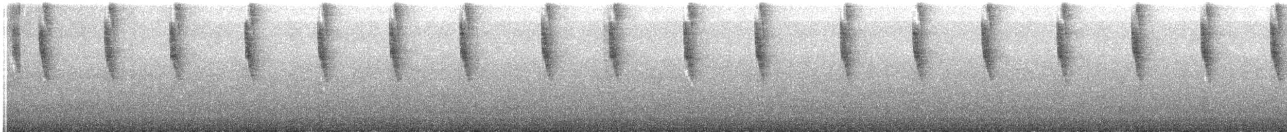 Lesser Violetear - ML647793075