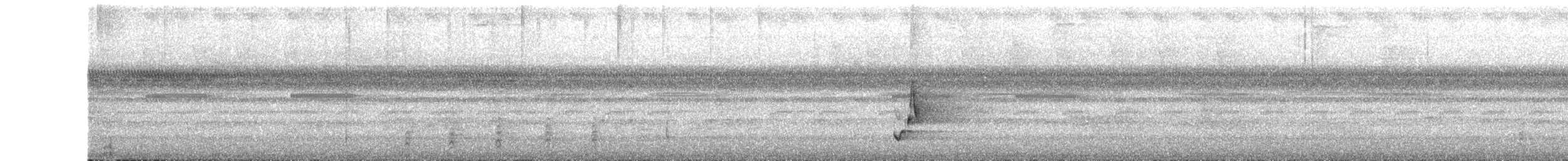 Riverside Wren - ML647793383