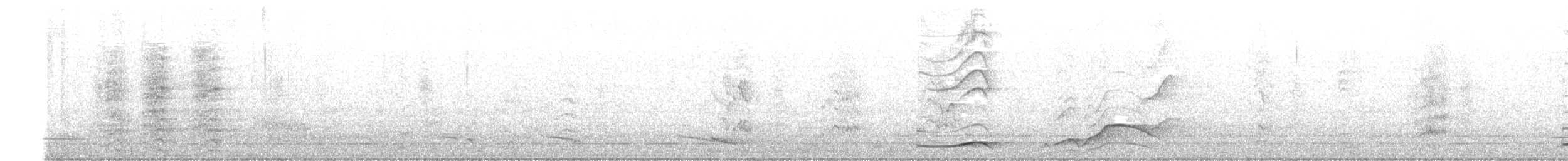 Pacific Koel (Australian) - ML647793488