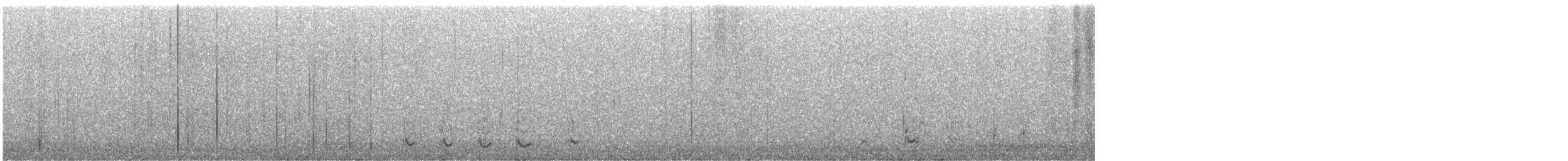 Ring-necked Duck - ML647793791