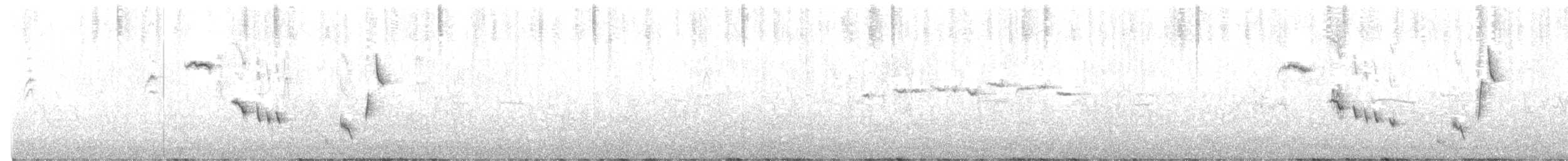 Western Thornbill - ML647794043