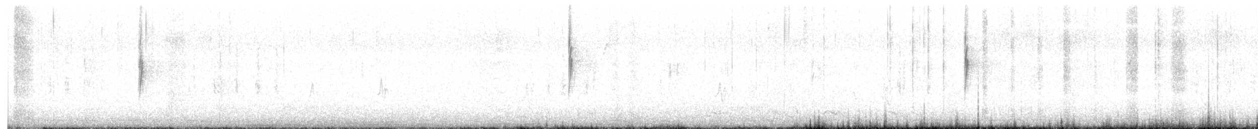 Yellow-rumped Warbler (Audubon's) - ML647794049