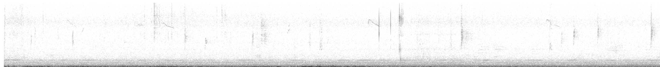 Yellow-rumped Warbler (Audubon's) - ML647794051