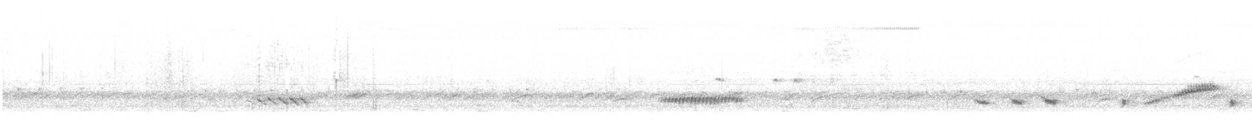 Northern Mockingbird - ML647794374