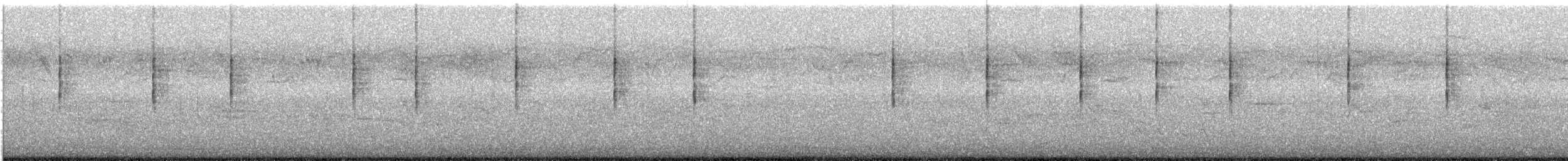 MacGillivray's Warbler - ML647794429