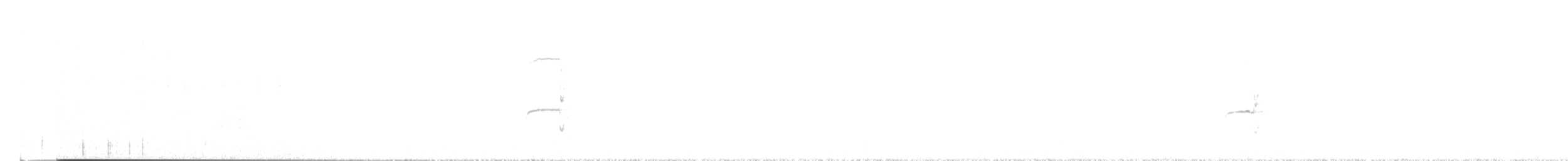 Northern Beardless-Tyrannulet - ML647794529