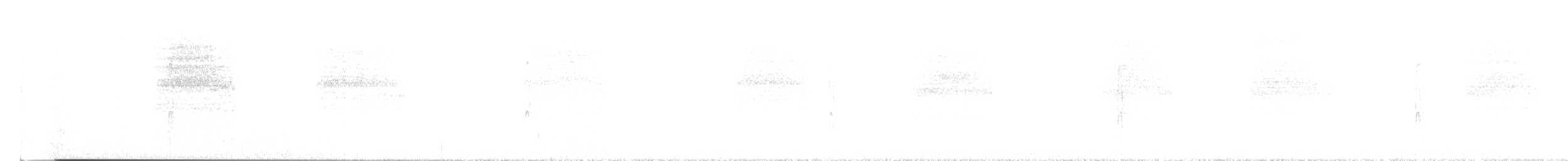 Black-tailed Gnatcatcher - ML647794541