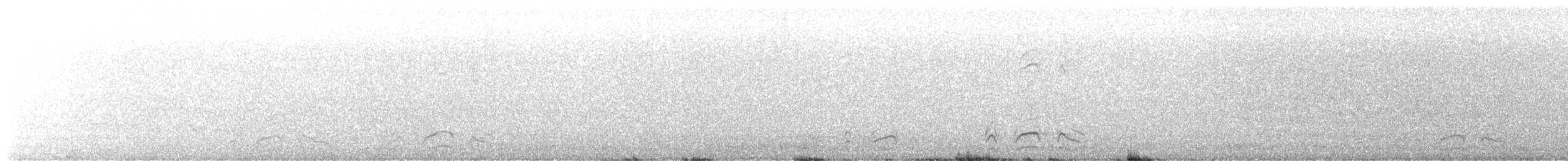 Перепелиця каліфорнійська - ML647794980