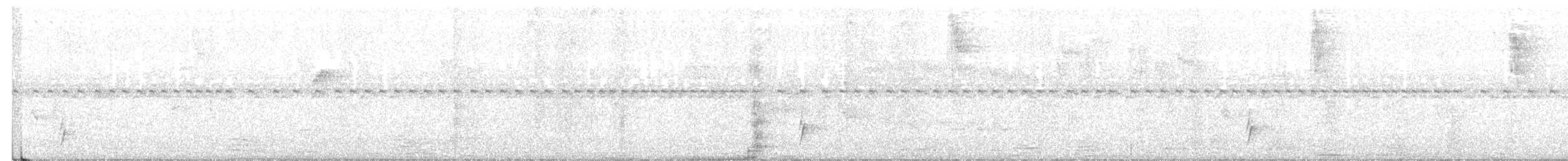 Tordo di Swainson - ML647795029