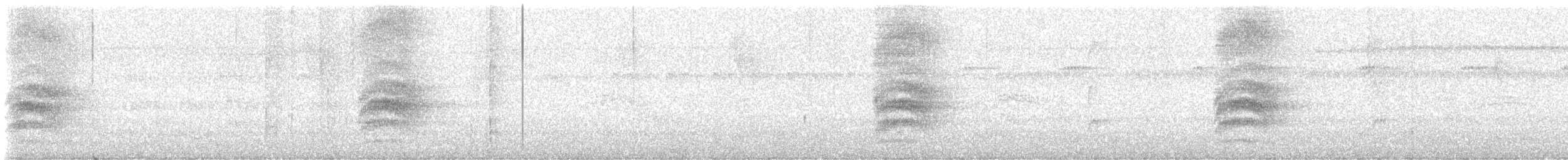 Kestane Sırtlı Karıncakuşu - ML647797247