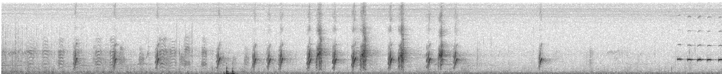 Pale-headed Rosella - ML647798596