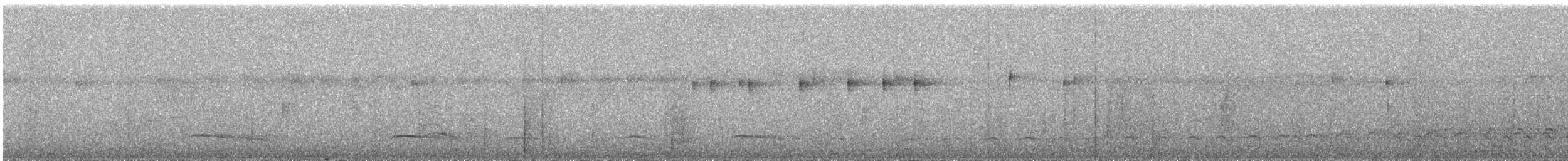 Barred Hawk - ML647799116