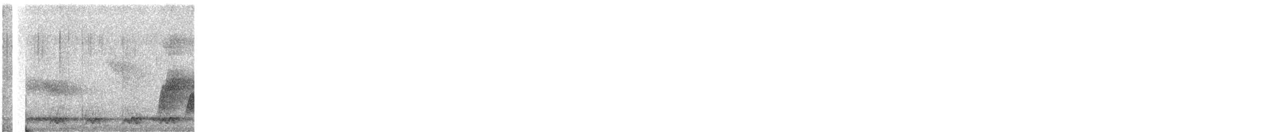 Sri Lanka Frogmouth - ML647799299