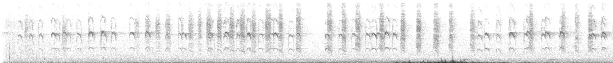 svarthettehonningeter - ML647799441