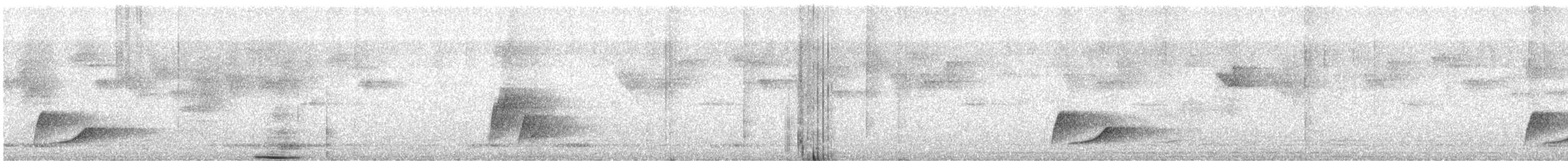 blåalvefugl - ML647799457