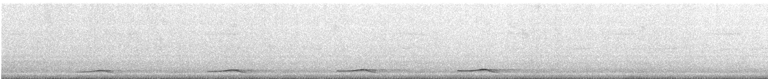 Asian Koel - ML647799820