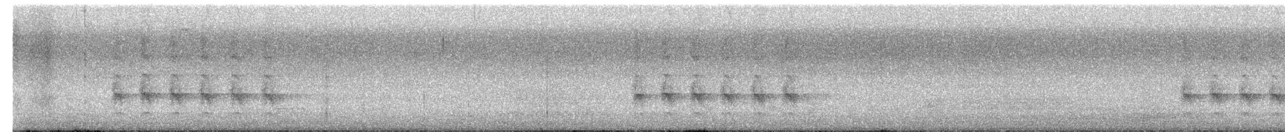 Sacred Kingfisher - ML647799827