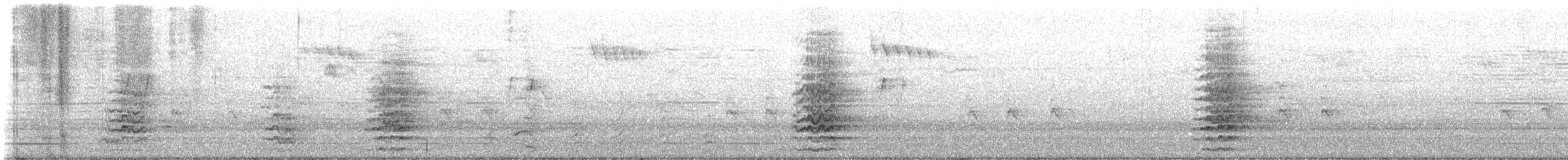 kakadu ostrozobý - ML647800637